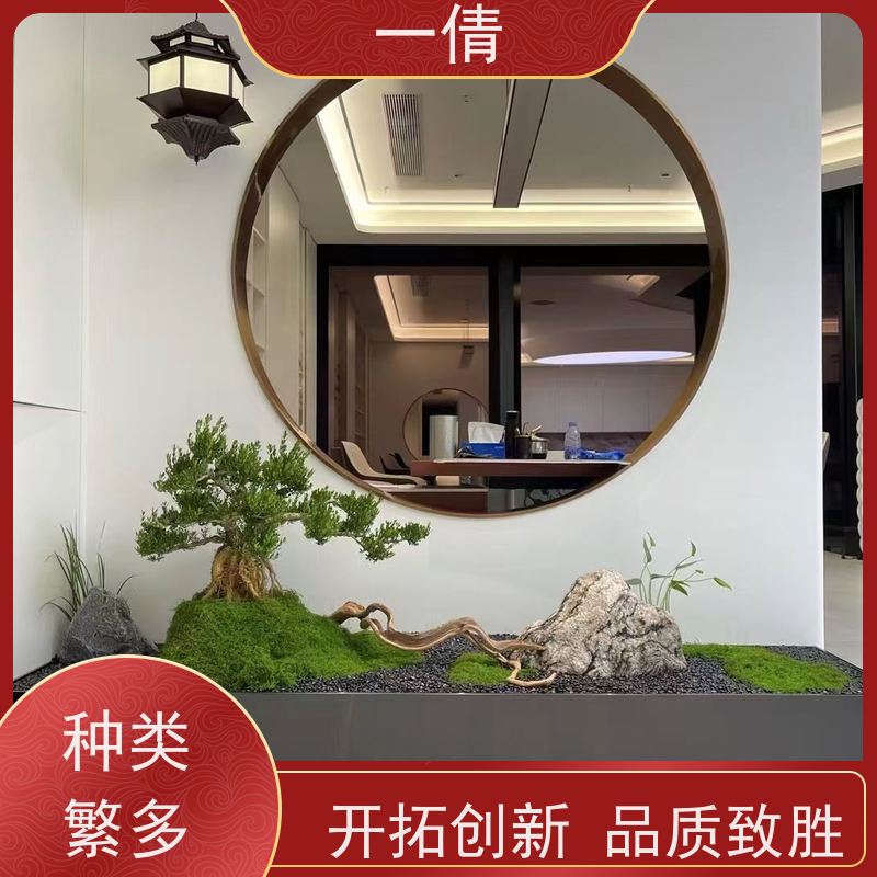 一倩花卉 前台 中杨贵妃 室内植物出租 桌面绿植 花木护理
