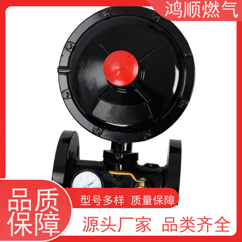 鸿顺 厂家 燃气调压器 运行稳定易维护 按需定制