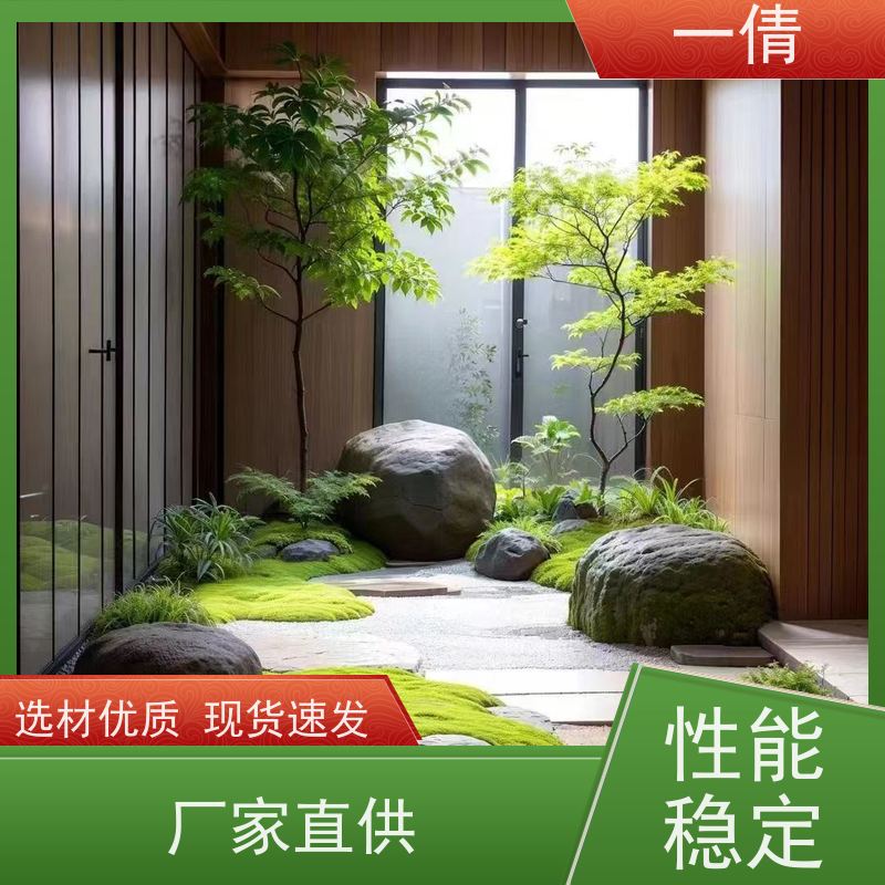 一倩花卉 前台 小罗汉松 绿植租摆 桌面绿植 花木护理