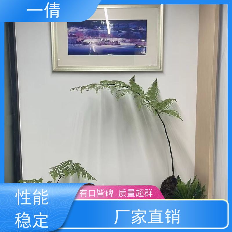 一倩花卉 办公室 年桔盆景 绿植租赁 全城配送 上门养护