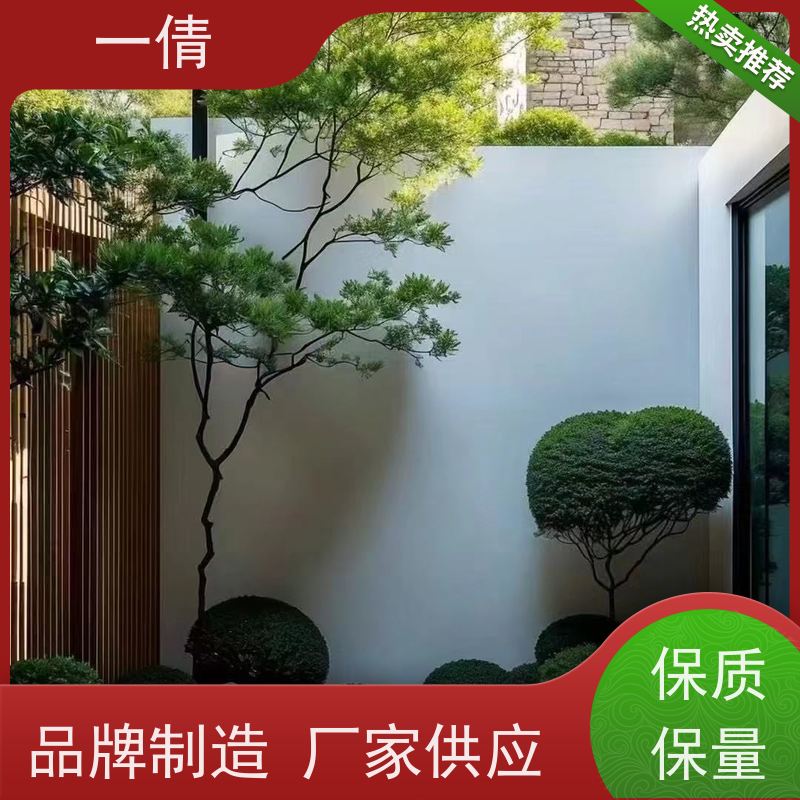 一倩花卉 办公室 金心铁 绿植租摆 桌面绿植 花木护理