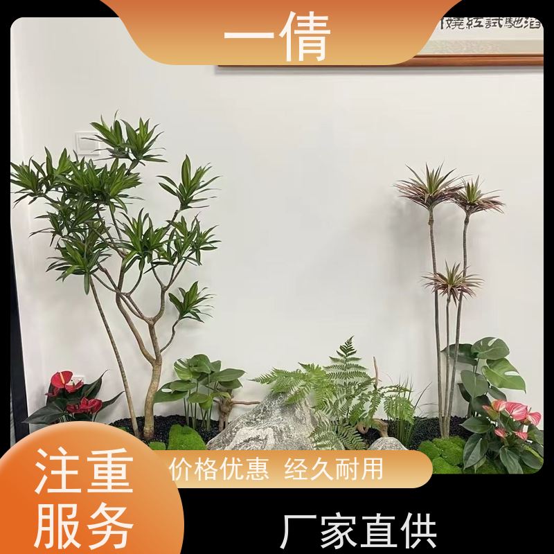 一倩花卉 前台 小年桔盆景 室内植物出租 净化空气