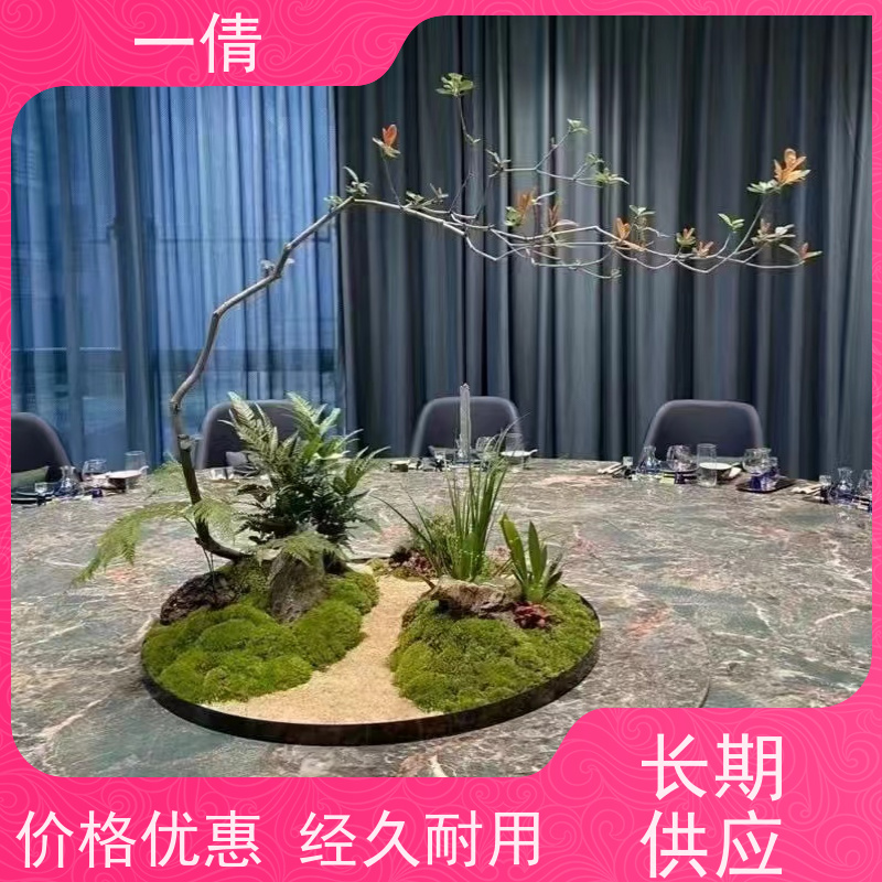 一倩花卉 深圳 吉利红 室内植物出租 桌面绿植 花木护理