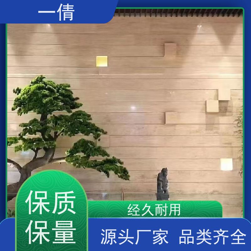 一倩花卉 深圳 龟背 室内植物出租 种类繁多 规格齐全