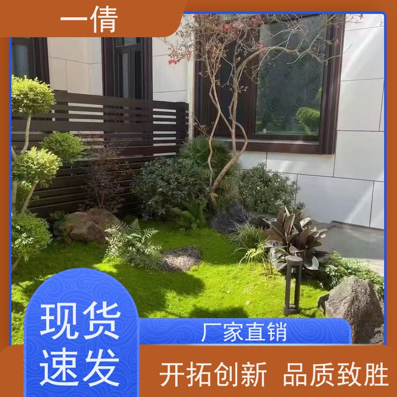 一倩花卉 办公室 蓝宝石 绿植租摆 全城配送 上门养护