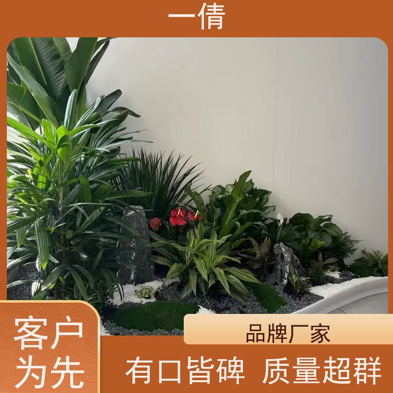 一倩花卉 办公室 石斛 绿植租赁 种类繁多 规格齐全