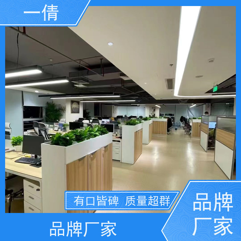 一倩花卉 深圳 三杆发财树 开业花篮租赁 全城配送 上门养护