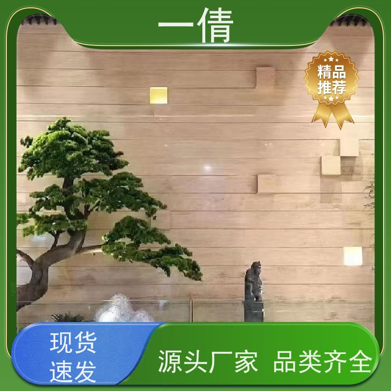 一倩花卉 深圳 大杨贵妃 花卉租赁 种类繁多 规格齐全