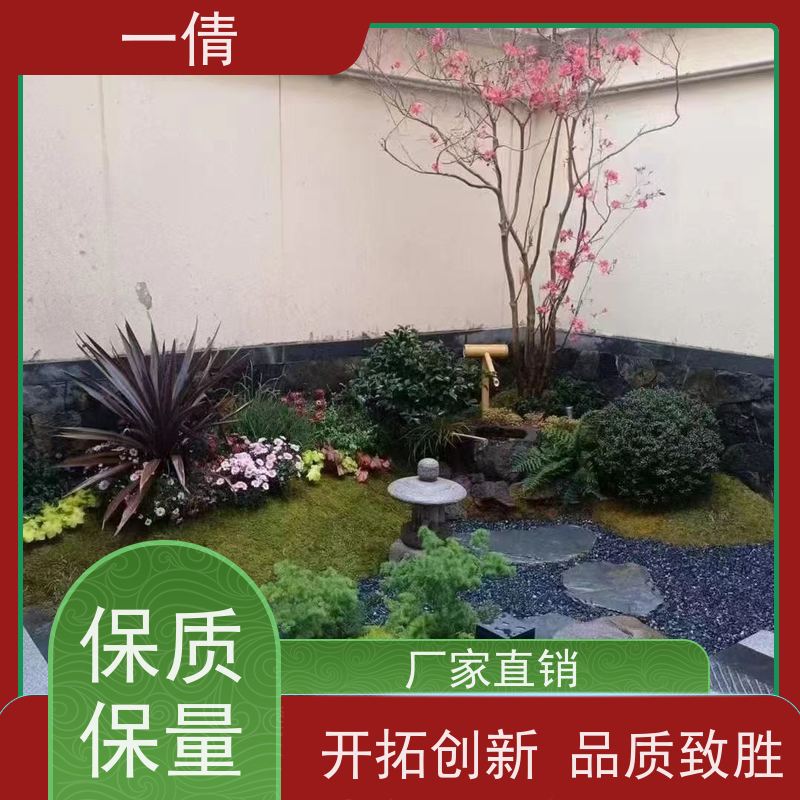 一倩花卉 前台 春雨 室内植物出租 种类繁多 规格齐全