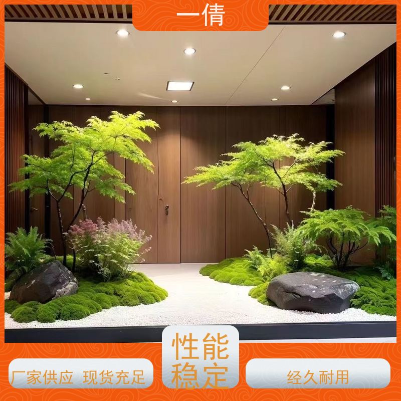 一倩花卉 前台 10层黄金果 绿植租赁 全城配送 上门养护