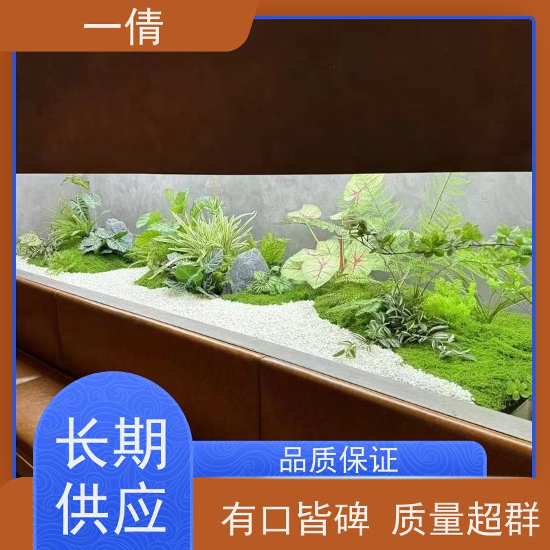 一倩花卉 室内 蓝宝石 绿植租赁 种类繁多 规格齐全