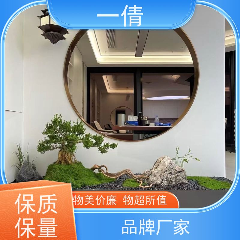 一倩花卉 深圳 小年桔盆景 花卉租赁 桌面绿植 花木护理