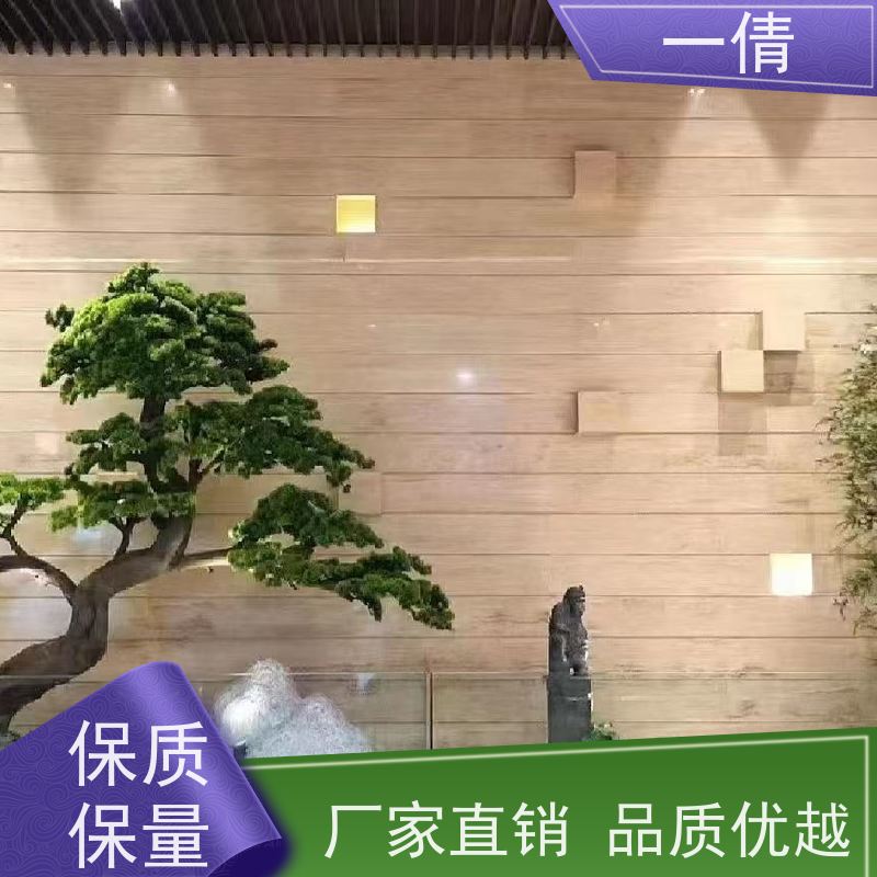 一倩花卉 前台 凤尾竹 绿植租摆 桌面绿植 花木护理