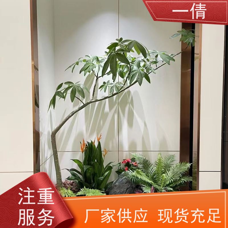 一倩花卉 前台 保罗 绿植租摆 种类繁多 规格齐全