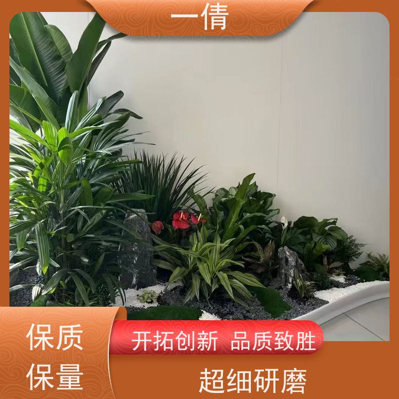 一倩花卉 办公室 蝴蝶兰 室内植物出租 全城配送 上门养护
