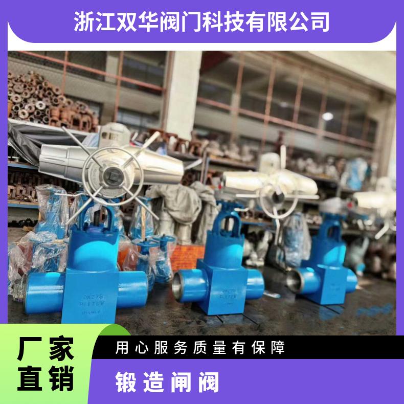 Z962Y锻钢自由锻造闸阀 自密封电站阀高温高压阀 双华阀门