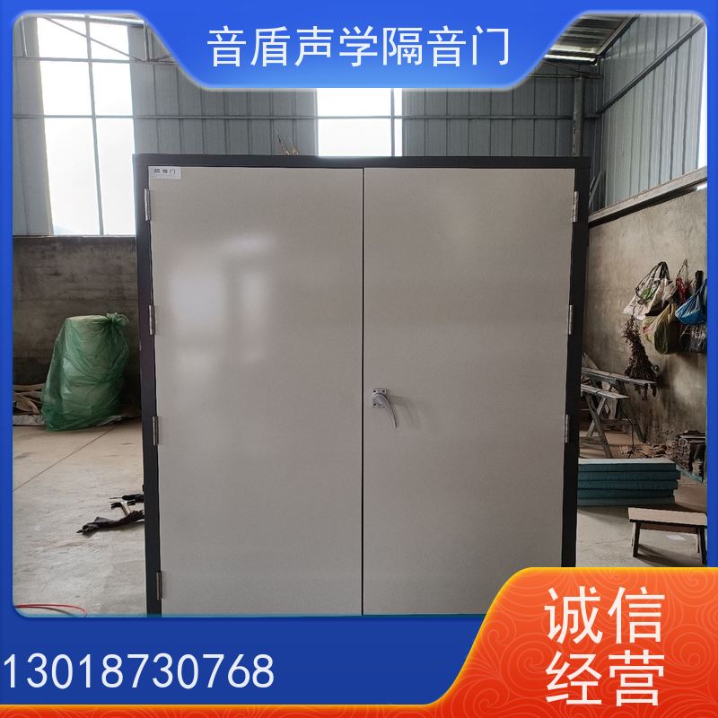 音盾科技 进户 防火隔音门 品质保证 大型定制工厂