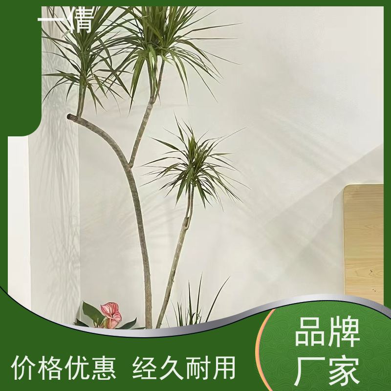 一倩花卉 深圳 常春藤 绿植租赁 全城配送 上门养护