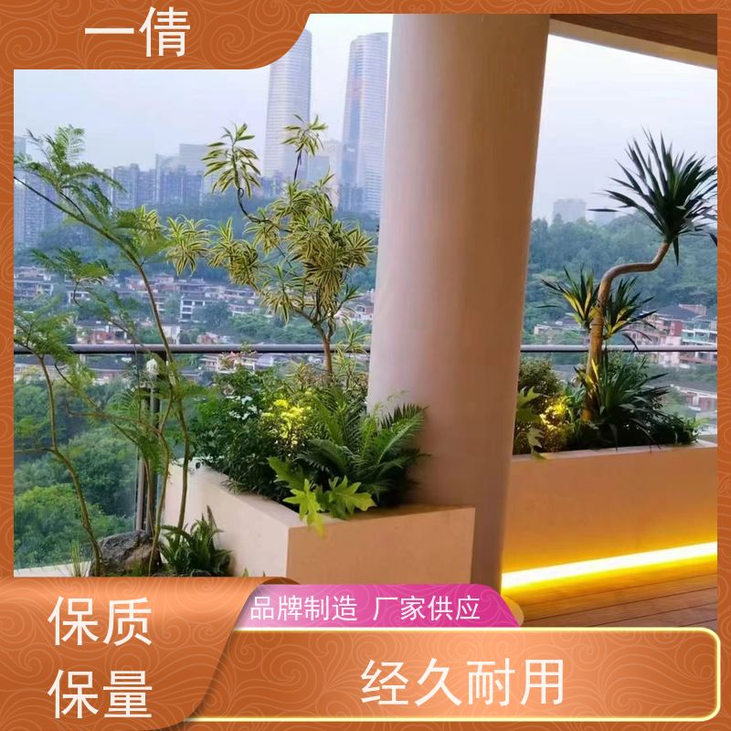 一倩花卉 前台 紫檀 开业花篮租赁 全城配送 上门养护