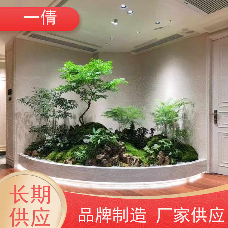 一倩花卉 前台 凤尾竹 绿植出售 全城配送 上门养护