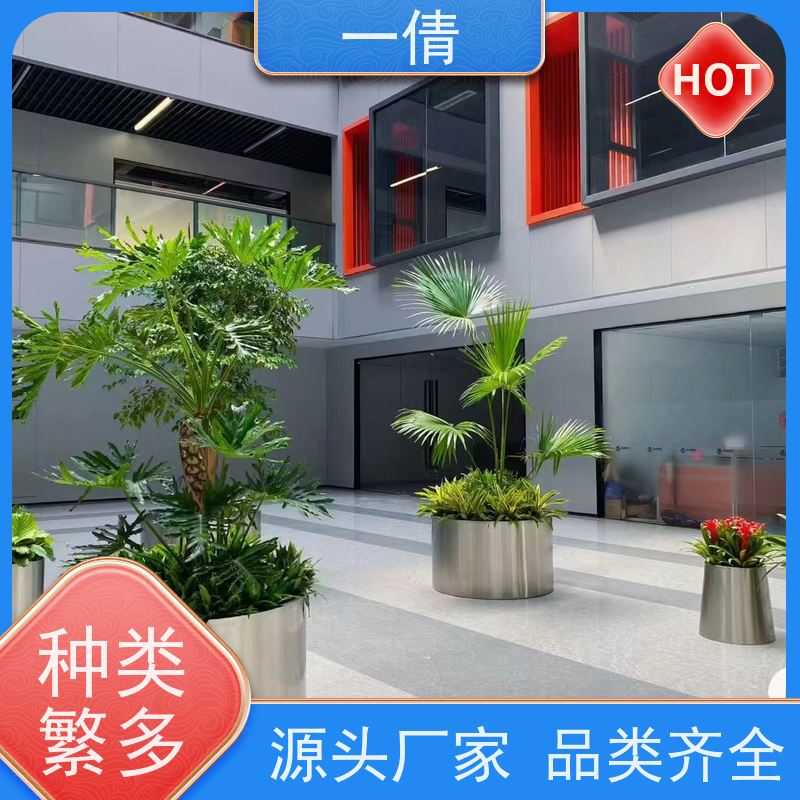 一倩花卉 办公室 天堂鸟 绿植租摆 桌面绿植 花木护理