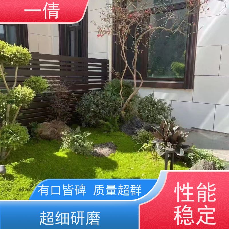 一倩花卉 室内 棕竹 室内植物出租 桌面绿植 花木护理