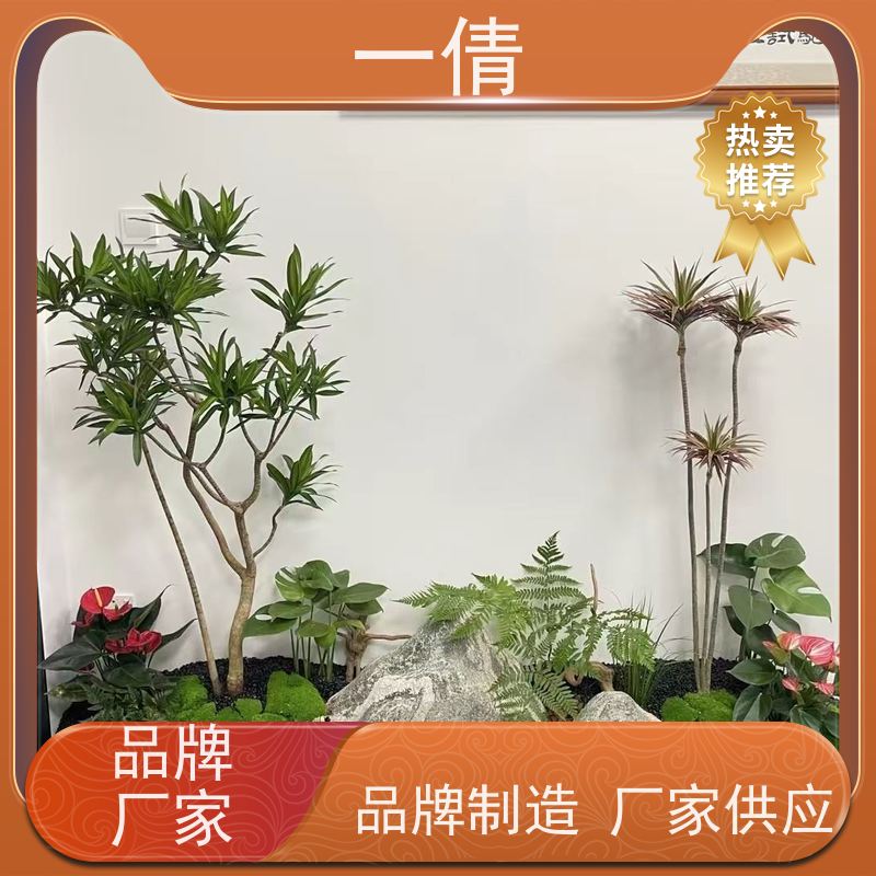一倩花卉 办公室 富贵树 绿植租赁 全城配送 上门养护