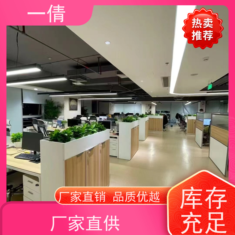 一倩花卉 室内 中杨贵妃 花卉租赁 桌面绿植 花木护理