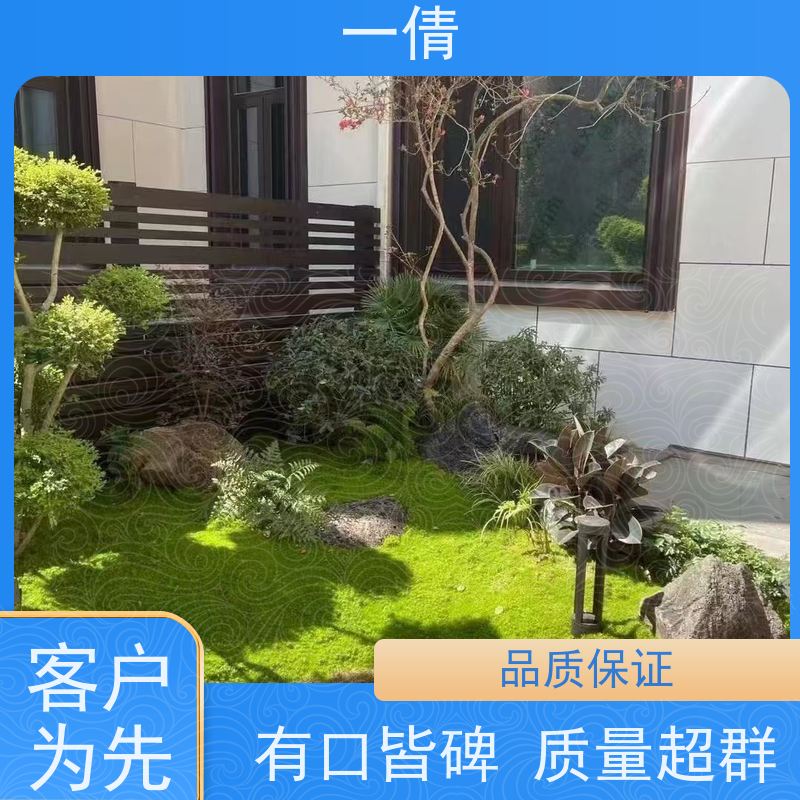 一倩花卉 前台 棕竹 花卉租赁 桌面绿植 花木护理