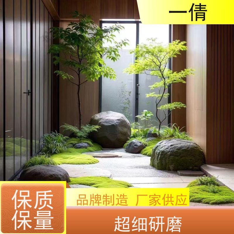 一倩花卉 办公室 金钱树 绿植租赁 全城配送 上门养护