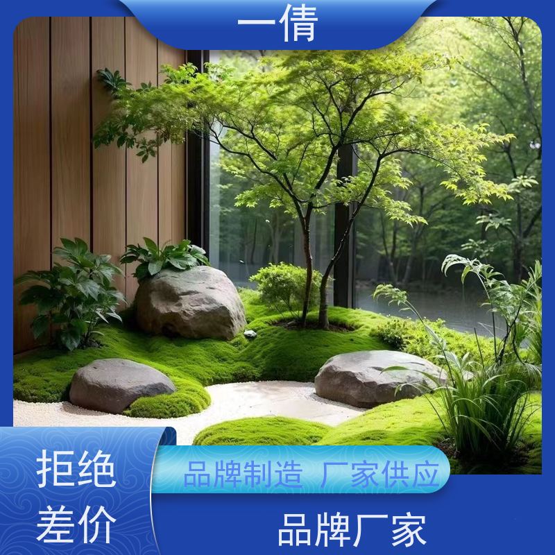 一倩花卉 办公室 如意 绿植出售 全城配送 上门养护
