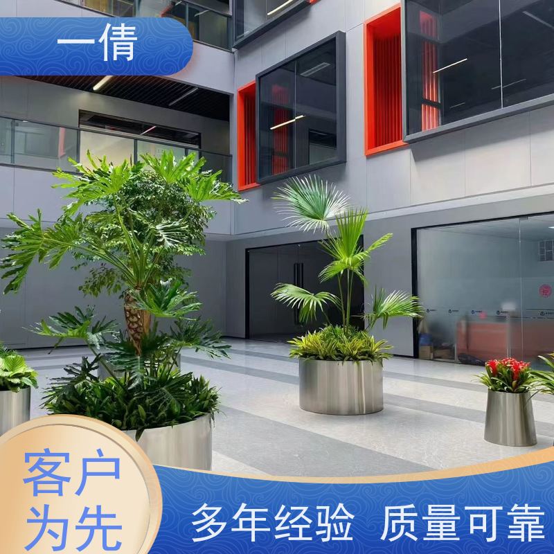一倩花卉 前台 金钱兜 开业花篮租赁 全城配送 上门养护