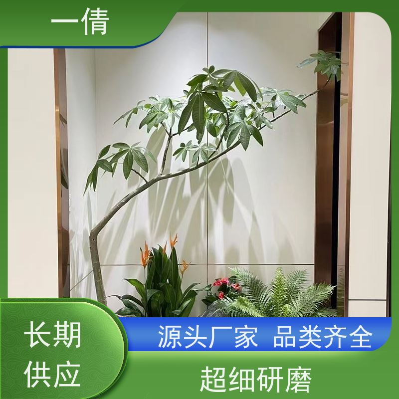 一倩花卉 前台 凤尾竹 绿植租摆 全城配送 上门养护