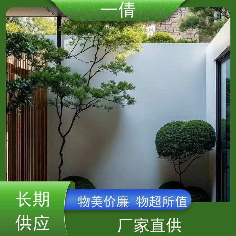 一倩花卉 前台 中杨贵妃 绿植租赁 种类繁多 规格齐全
