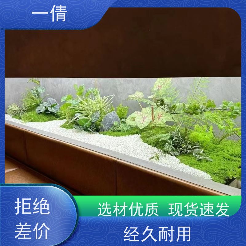 一倩花卉 前台 吉利红 室内植物出租 种类繁多 规格齐全