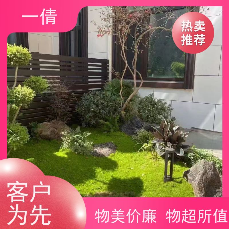一倩花卉 室内 富贵树 绿植租赁 种类繁多 规格齐全