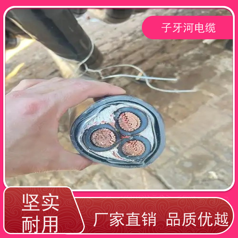 子牙河科技 新旧不限 免费评估 高价回收废旧 电力电缆