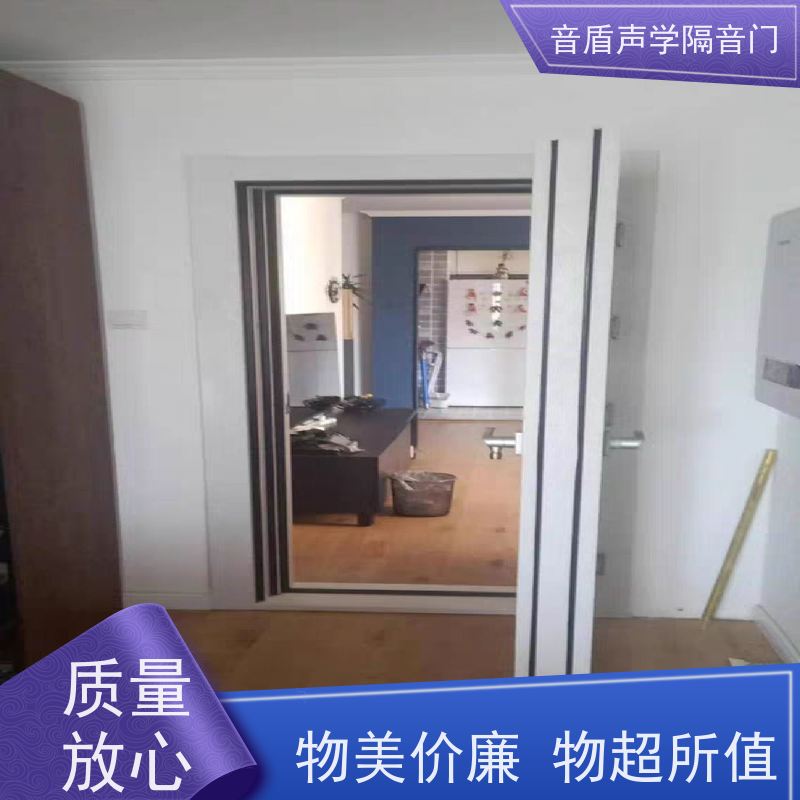 音盾科技 摄影棚 防火隔音门 品质保证 款式齐全
