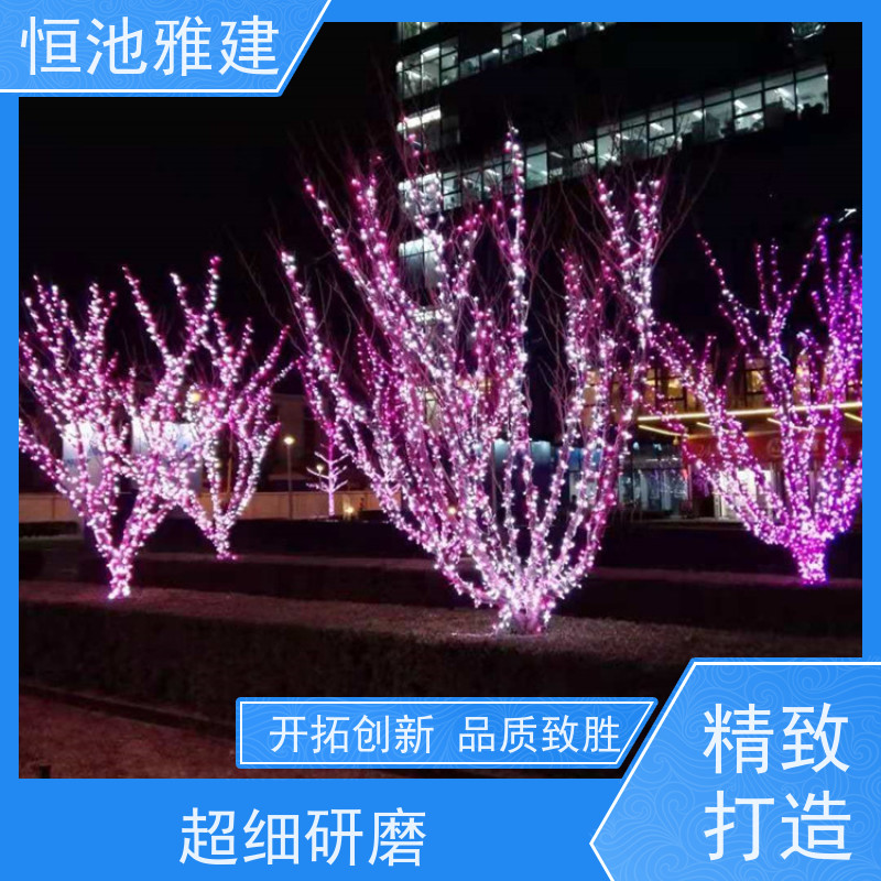 恒池雅建 元旦节装饰用 园区景观亮化 密封性好