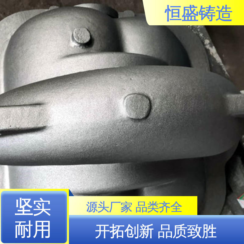 消失模铸造件 真空浇筑 包装设备配件 可加logo 恒盛供应