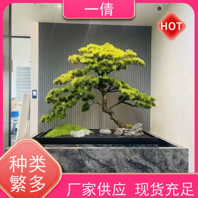 一倩花卉 室内 也门铁 开业花篮租赁 桌面绿植 花木护理