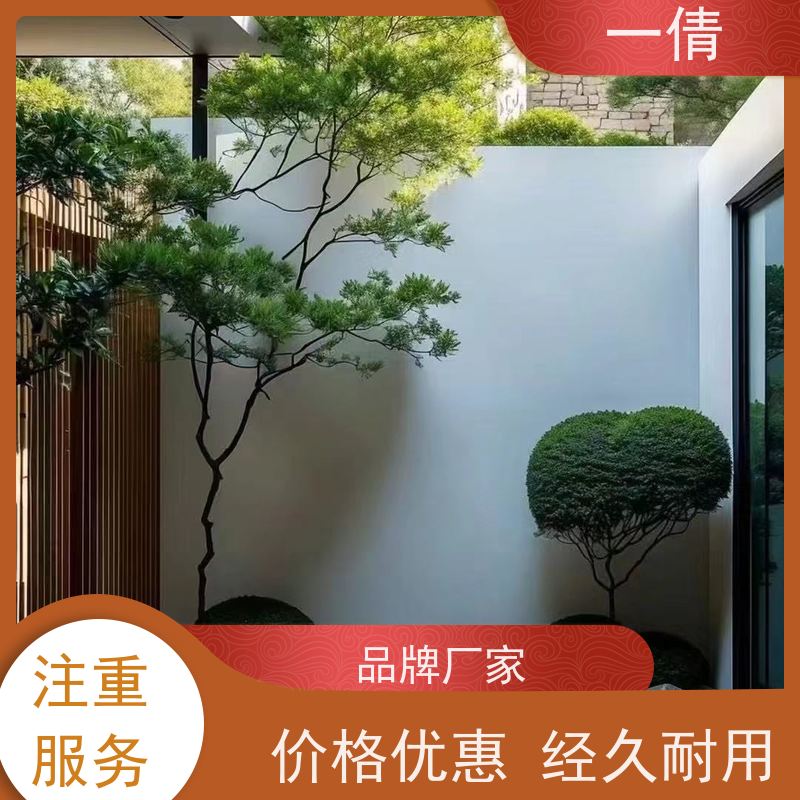 一倩花卉 深圳 杨贵妃 绿植租赁 全城配送 上门养护