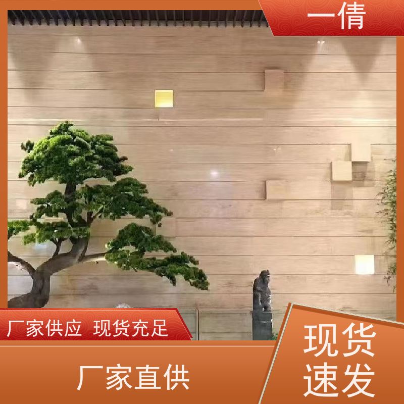 一倩花卉 前台 凤尾竹 绿植出售 桌面绿植 花木护理
