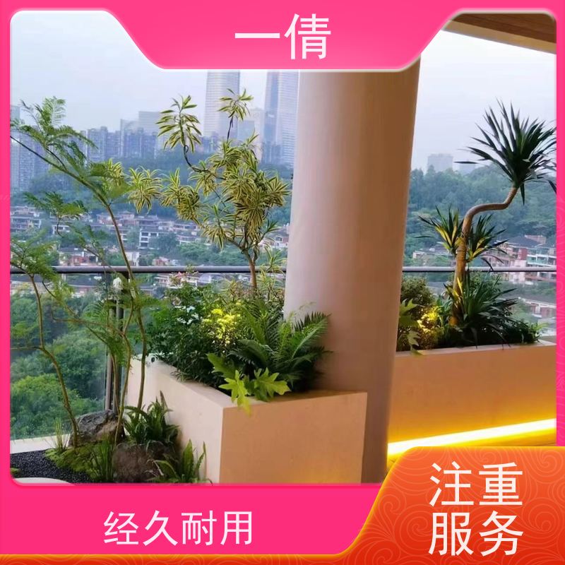一倩花卉 前台 橙蝴蝶兰 花卉租赁 桌面绿植 花木护理