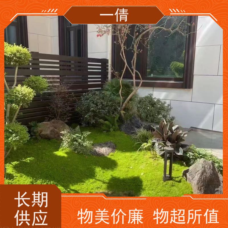 一倩花卉 室内 冬青） 开业花篮租赁 全城配送 上门养护