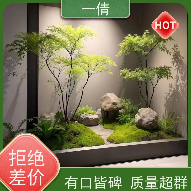 一倩花卉 前台 雅丽 绿植租赁 桌面绿植 花木护理