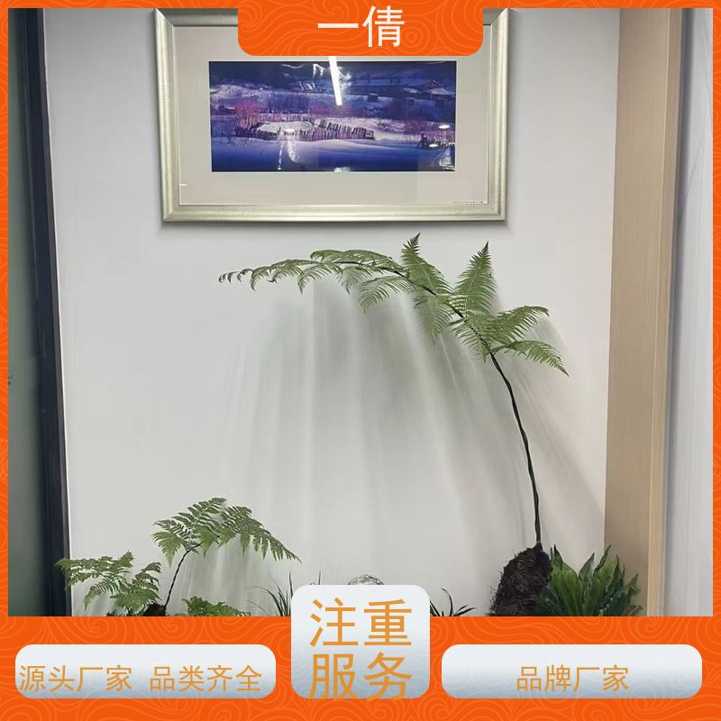 一倩花卉 办公室 红玉珠 绿植租摆 种类繁多 规格齐全