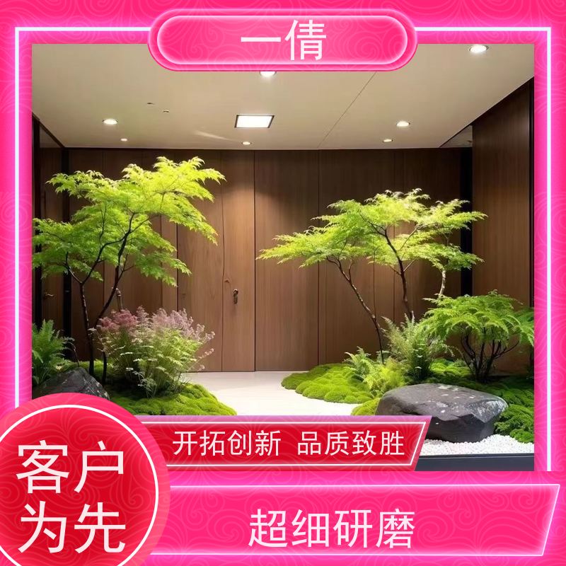一倩花卉 室内 8层黄金果 绿植出售 桌面绿植 花木护理