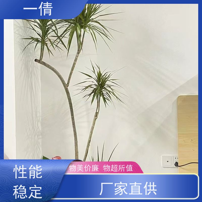 一倩花卉 办公室 小年桔盆景 绿植租摆 桌面绿植 花木护理