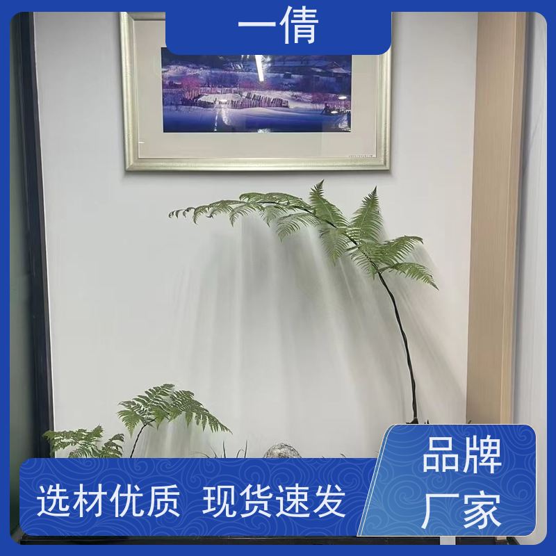 一倩花卉 办公室 墨兰 绿植租摆 全城配送 上门养护